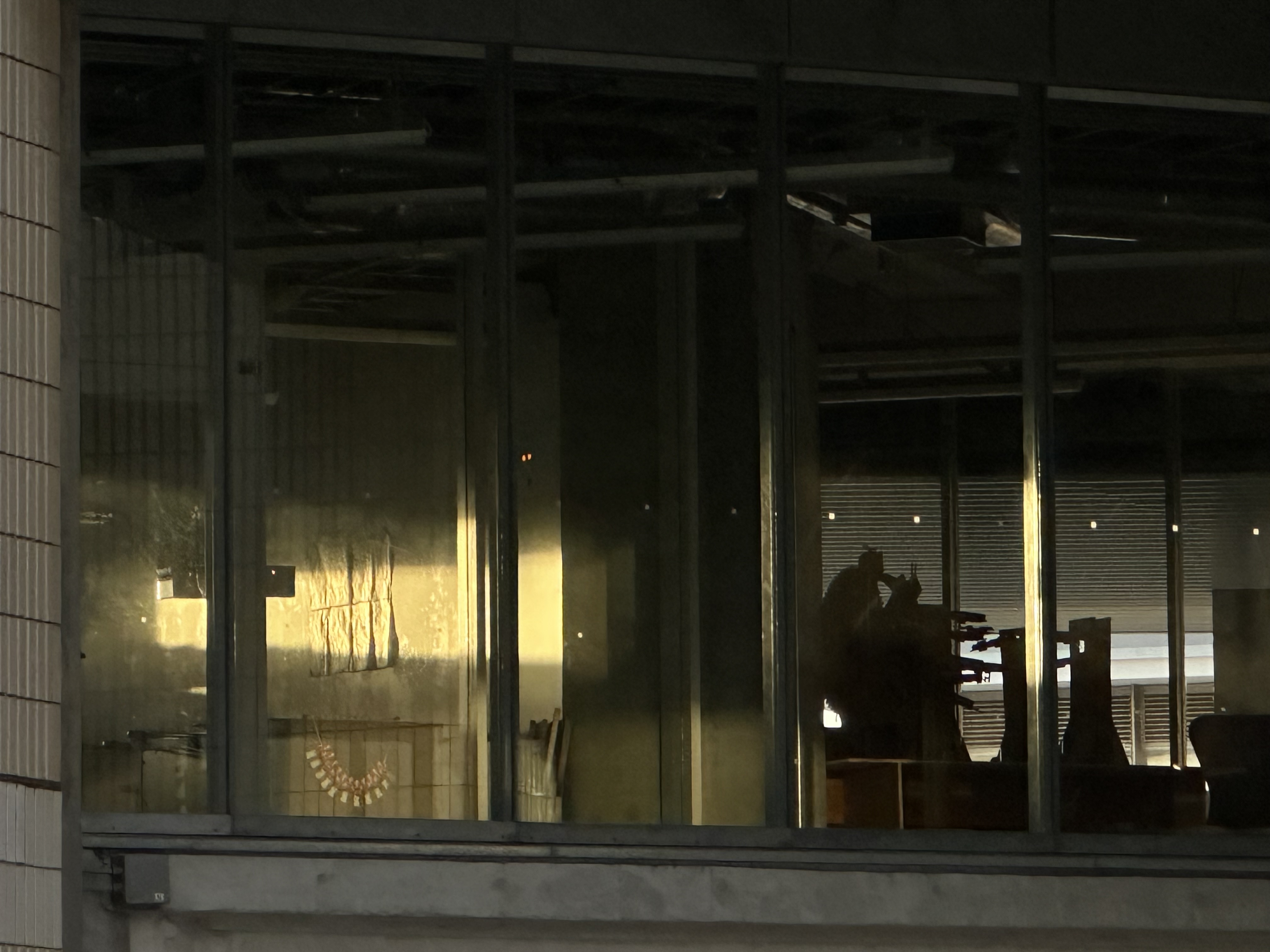 Evening light on the Sumida campus windows